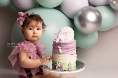 cake_smash_session_wirral