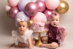 twingirlscakesmashphotoshootwirral